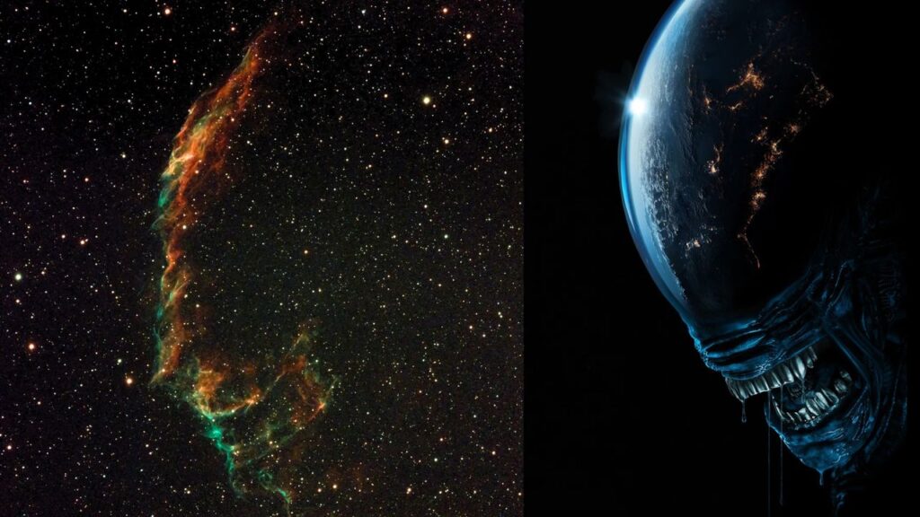 stargazer-captures-veil-nebula-uncovers-xenomorph-resemblance