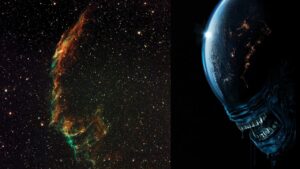 stargazer-captures-veil-nebula-uncovers-xenomorph-resemblance