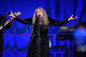 stevie-nicks-reschedules-concerts-after-fractured-shoulder-injury