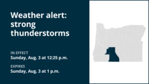 strong-thunderstorms-hit-oregon-with-hail-and-50-mph-winds