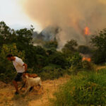 study-links-climate-change-to-fiercer-wildfires-in-mediterranean