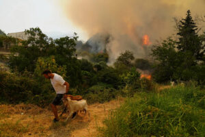 study-links-climate-change-to-fiercer-wildfires-in-mediterranean