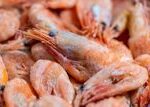u-s-recalls-frozen-shrimp-over-radioactive-contamination-risk