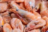 u-s-recalls-frozen-shrimp-over-radioactive-contamination-risk