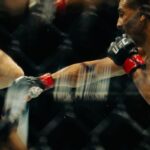 ufc-to-stage-historic-fight-on-white-house-lawn-for-250th-anniversary