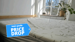 upgrade-your-dorm-sleep-waterproof-mattress-protector-now-11-04