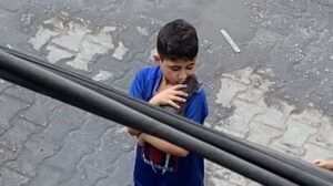 urgent-gaza-boy-mourns-kitten-lost-amid-food-shortage