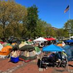 urgent-warning-virtue-signaling-threatens-higher-education-today