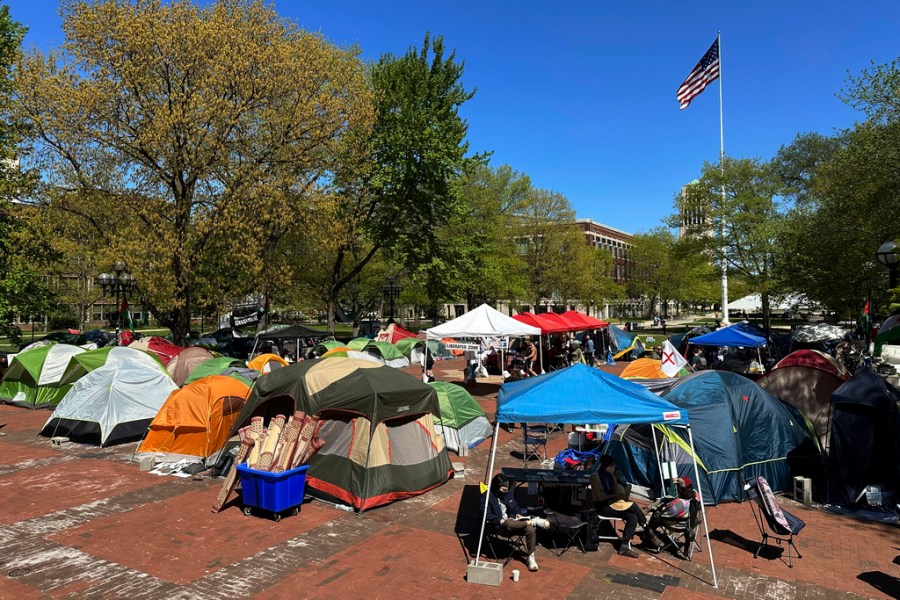 urgent-warning-virtue-signaling-threatens-higher-education-today