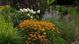 5-urgent-ways-to-attract-wildlife-to-your-yard-this-fall