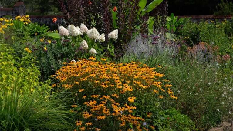 5-urgent-ways-to-attract-wildlife-to-your-yard-this-fall