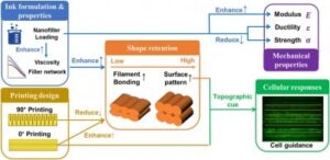 advancing-bone-repair-innovations-in-3d-printed-bioactive-implants
