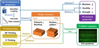 advancing-bone-repair-innovations-in-3d-printed-bioactive-implants