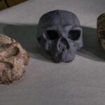 ancient-chinese-skull-offers-new-insights-into-human-evolution