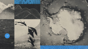 antarctic-submarine-canyons-uncovered-key-to-climate-dynamics