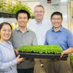 brookhaven-lab-discovers-unique-protein-crucial-for-plant-survival