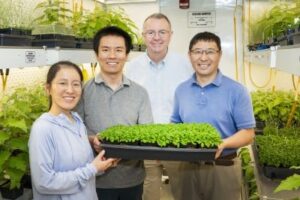 brookhaven-lab-discovers-unique-protein-crucial-for-plant-survival