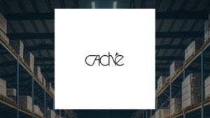 cache-and-lulu-s-fashion-lounge-a-side-by-side-financial-analysis