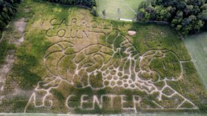 carroll-county-s-annual-corn-maze-welcomes-families-through-november