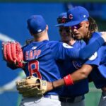 chicago-cubs-clinch-playoff-spot-with-8-4-victory-over-pirates