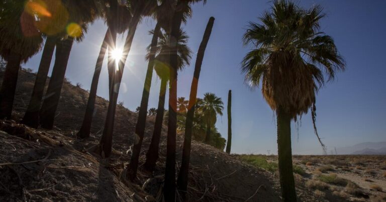 coachella-valley-incomes-surge-thousand-palms-rises-3-5x