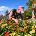 community-gathers-in-detroit-lakes-to-create-bouquets-of-joy
