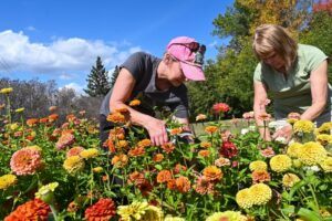 community-gathers-in-detroit-lakes-to-create-bouquets-of-joy