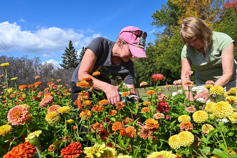 community-gathers-in-detroit-lakes-to-create-bouquets-of-joy