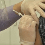 covid-vaccines-set-to-roll-out-in-massachusetts-this-fall
