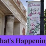 discover-diverse-artistic-talents-at-the-artists-gallery-this-october