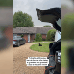 dog-hilariously-refuses-to-leave-5-star-resort-grandparents-house