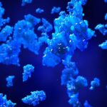 enhancing-monitoring-of-host-cell-impurities-in-biotherapeutics