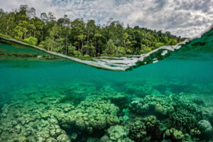 exploring-raja-ampat-sacred-coral-reefs-at-risk