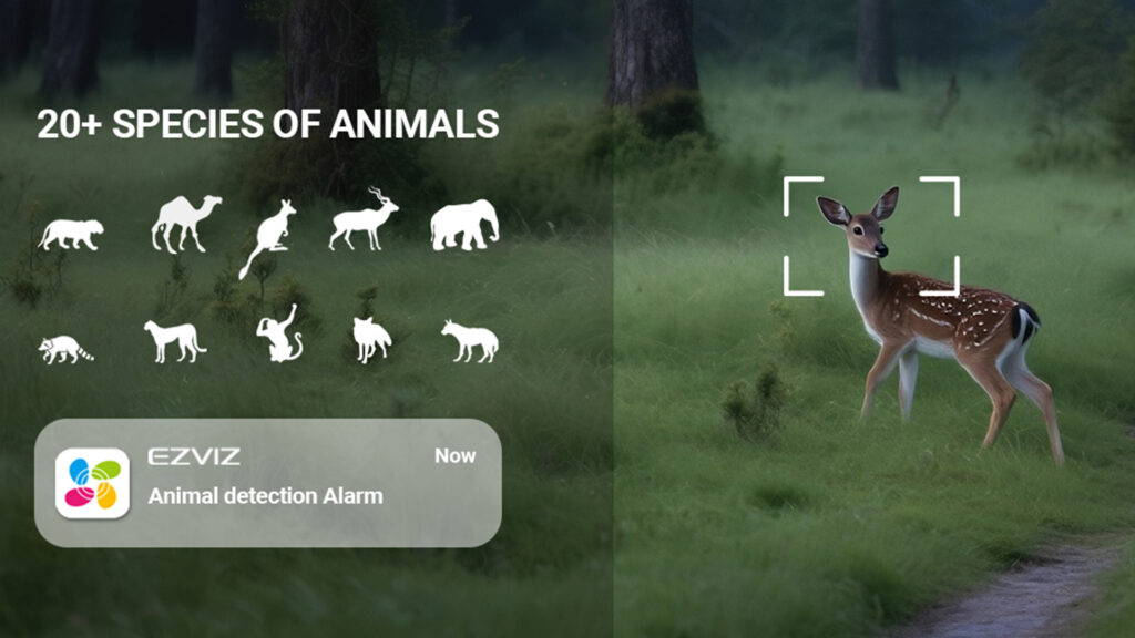 ezviz-launches-wild-animal-detection-to-enhance-home-security