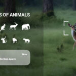 ezviz-launches-wild-animal-detection-to-enhance-home-security