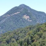 girl-scout-rescued-in-california-canyon-thanks-to-satellite-technology