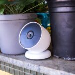 google-set-to-launch-new-ai-powered-home-devices-on-oct-1