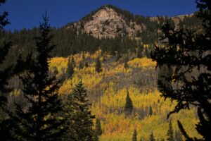 increased-enforcement-planned-for-guanella-pass-during-fall-foliage