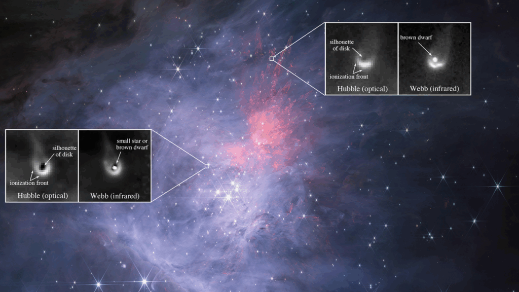 james-webb-telescope-reveals-rich-planet-forming-disk-around-brown-dwarf