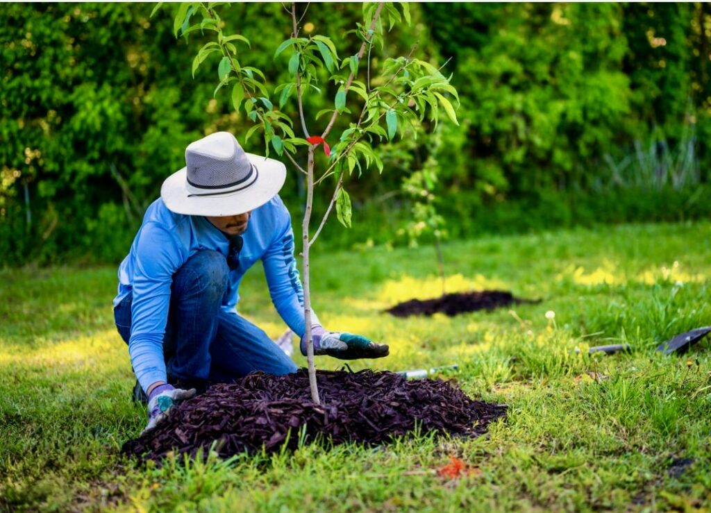 join-friends-of-the-wissahickon-tree-planting-events-begin-soon