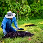 join-friends-of-the-wissahickon-tree-planting-events-begin-soon