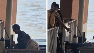 jude-law-takes-hard-fall-off-water-taxi-in-venice-video-emerges
