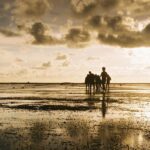 la-ni-a-could-return-soon-yet-global-temperatures-to-rise