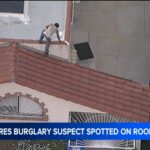 lapd-arrests-rooftop-burglary-suspect-after-dramatic-standoff