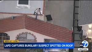 lapd-arrests-rooftop-burglary-suspect-after-dramatic-standoff