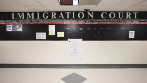 lawmakers-arrested-while-demanding-inspection-of-nyc-ice-cells
