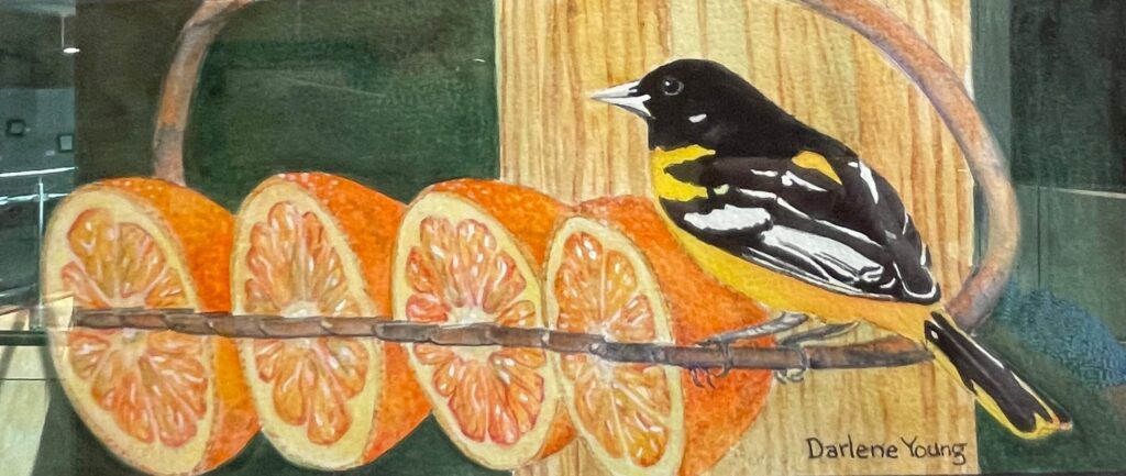 local-artists-showcase-colorful-creations-at-medina-library