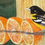 local-artists-showcase-colorful-creations-at-medina-library