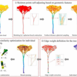 new-3d-modeling-method-achieves-near-perfect-tree-reconstruction