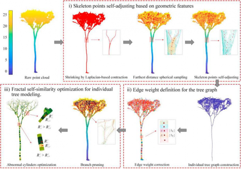 new-3d-modeling-method-achieves-near-perfect-tree-reconstruction